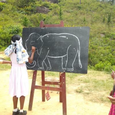 5908b039 Dd1a 48cd Ac36 Fa67af8aa5f9